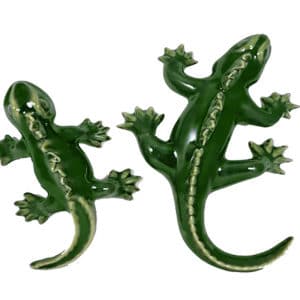 Tuatara